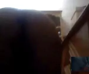 ცხენი დიდი ძუძუები fuck